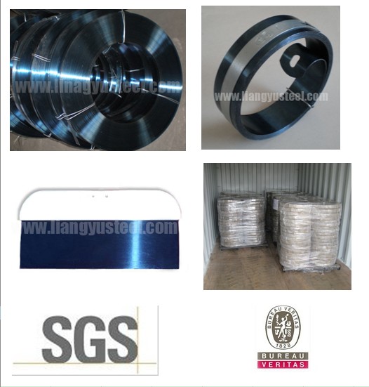 blue spring steel coil