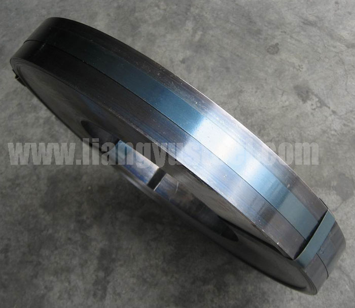 black shutter spring steel strip